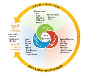 Connecting (T)issues: How Research in Fascia Biology Can Impact Integrative Oncology