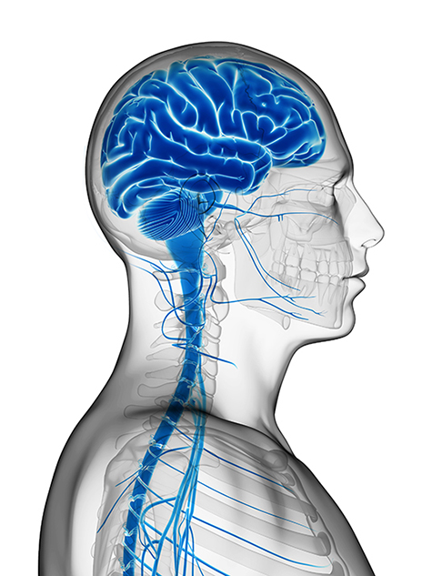 Spinal Cord Stimulation and Neurostimulation in Kansas City