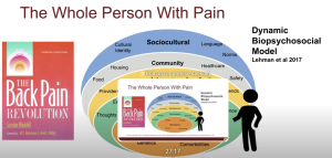 VIDEO: “Individualized Biopsychosocial Assessment and Treatment of Back Pain.”